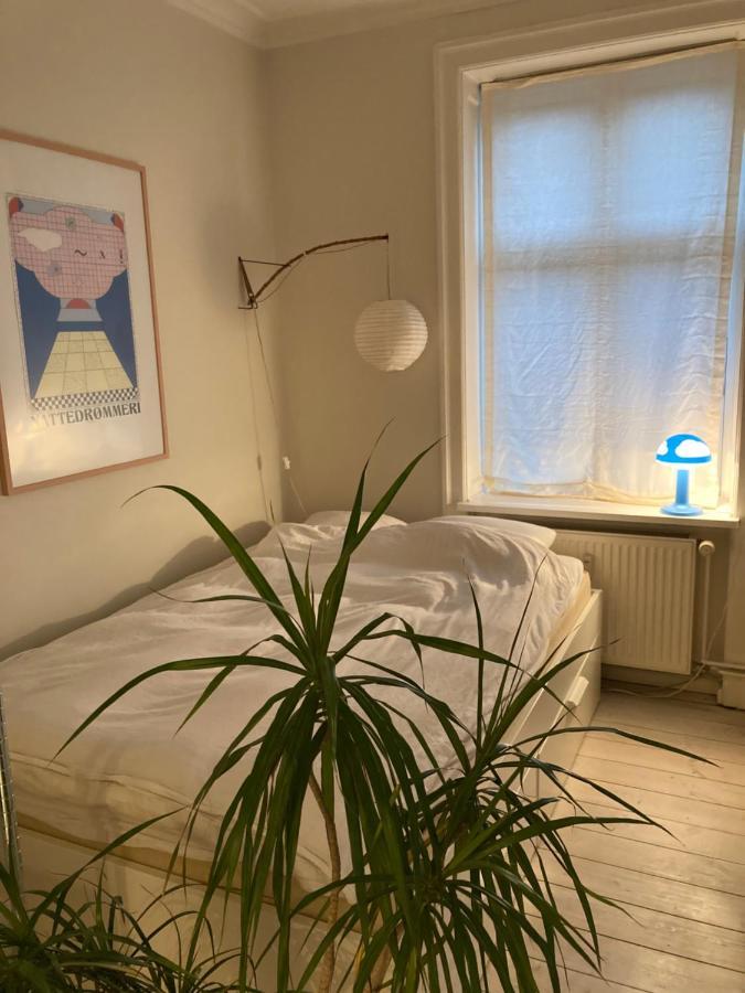 400 M From Metro Modern Cozy * København